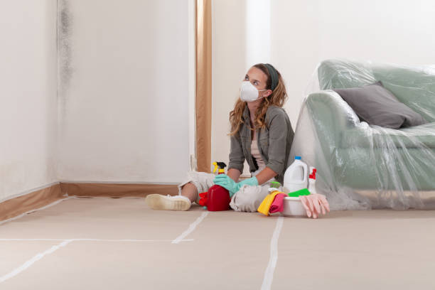 Reliable Mold Cleanup contractor in Nashville, IL by Cheap Mold Removal